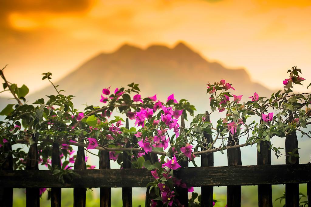 Casa Madre Tierra Hotel Vilcabamba Exterior foto